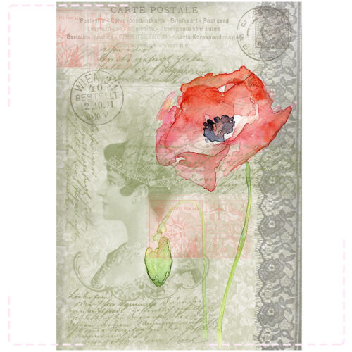 Feuille A4 - Coquelicot